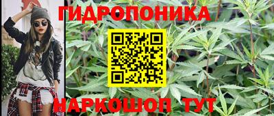 apvp Шелехов