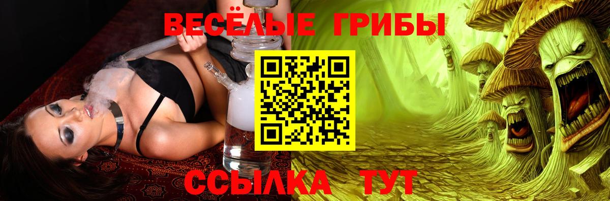 Строитель  Псилоцибиновые грибы Psilocybe  Галлюциногенные грибы ЛСД  Вход с VPN 